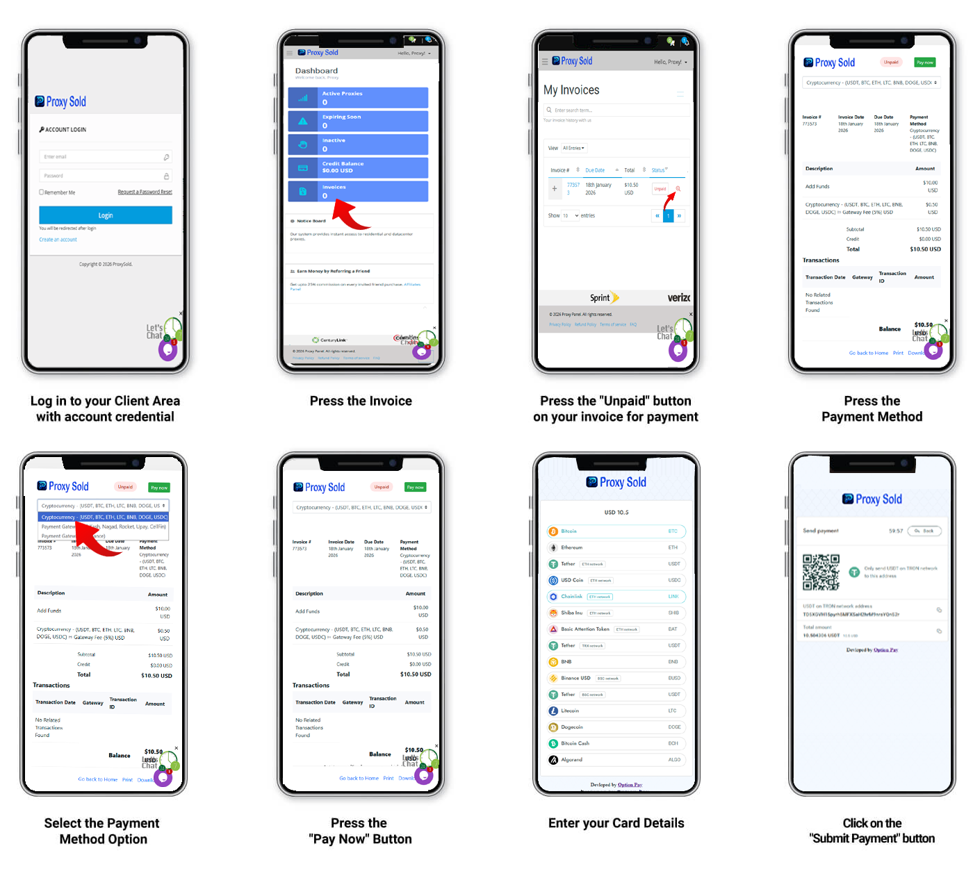 visa-payment-process
